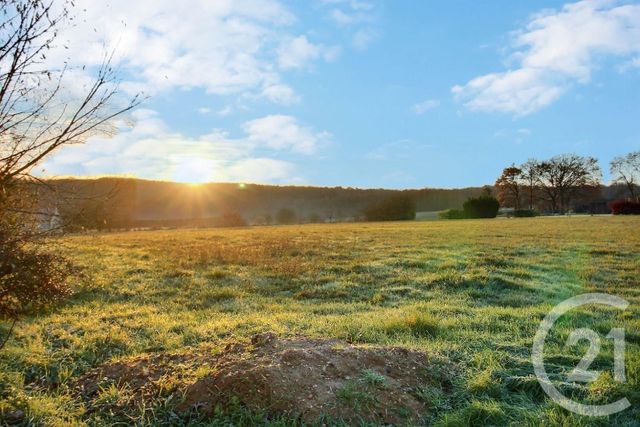 terrain à vendre - 1493.0 m2 - MOREE - 41 - CENTRE - Century 21 Girault Immobilier